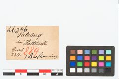 Etikett zu Bernsteinringperle (NHMW-PRAE-026346)